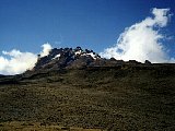 Mawenzi