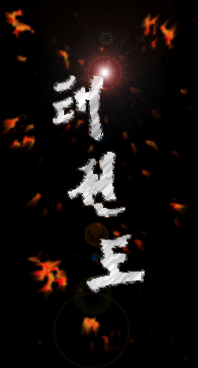 Tae - Kwon - Do