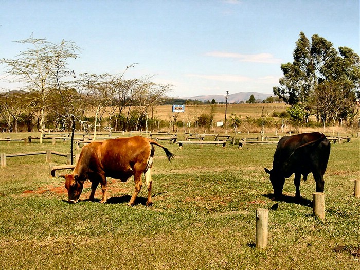 04960SwazilandKongemuseumsparkeringsplassen.JPG