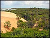 DSC09061TatajubaDrakamp.JPG