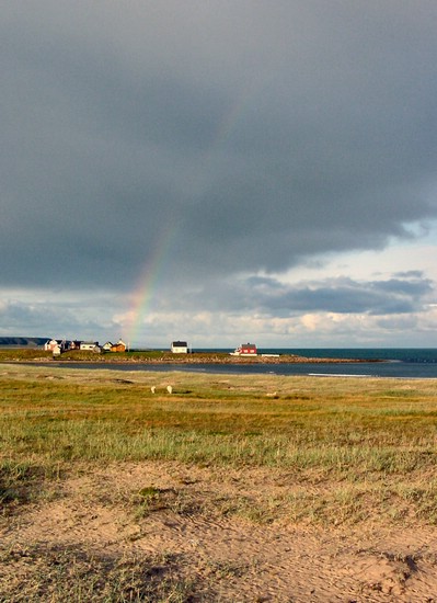 DSC00613VardoeSaueland.JPG