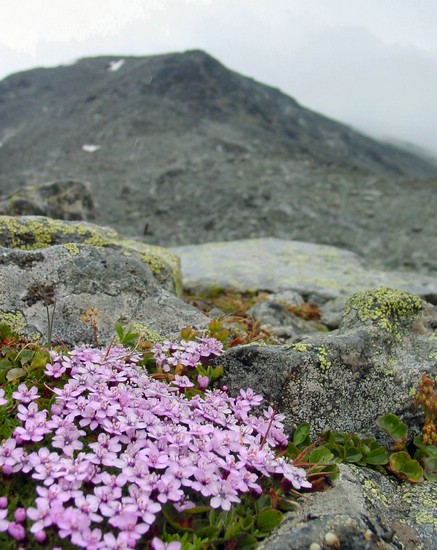 DSC00409JotunheimenIMotefarge.JPG