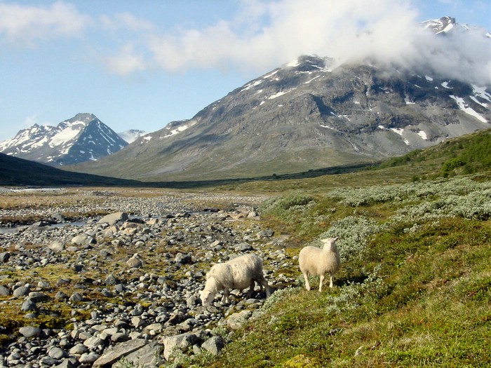 DSC00421JotunheimenDetOndeSoeye.JPG