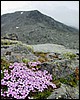 DSC00409JotunheimenIMotefarge.JPG