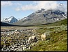 DSC00421JotunheimenDetOndeSoeye.JPG