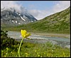 DSC00423JotunheimenFjellsommer.JPG