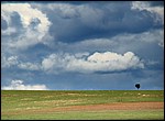 DSC09705AmfiEnsomtTre.JPG