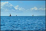 DSC10607BasaIndianOceanAndDhows.JPG