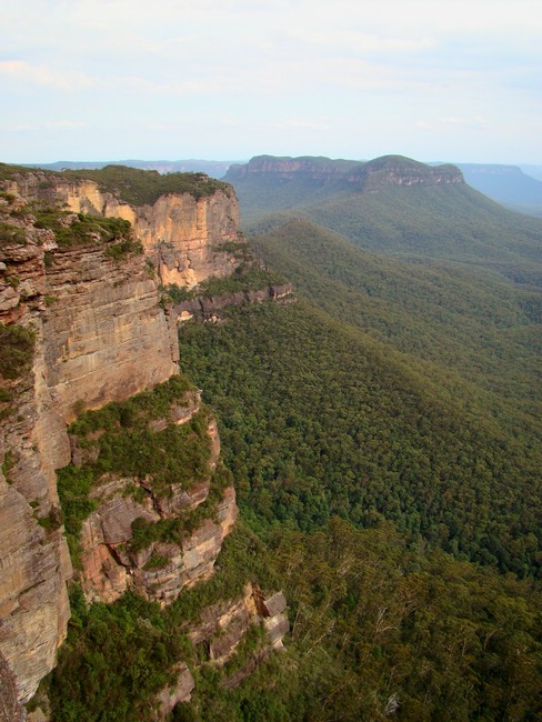 DSC09732KatoombaNarrowNeckOgSolitary.JPG