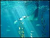 DSC00990LisboaRokkeISollys.JPG