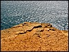 DSC01043CaboSaoVicenteRoedtHvittOgBlaatt.JPG
