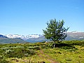 DSC01543OskampenMotHeimdalsvatnet.JPG