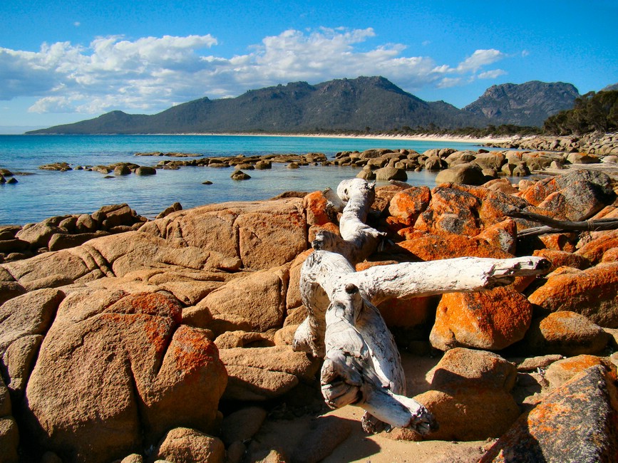 DSC07645FreycinetStokkIFjaera.JPG