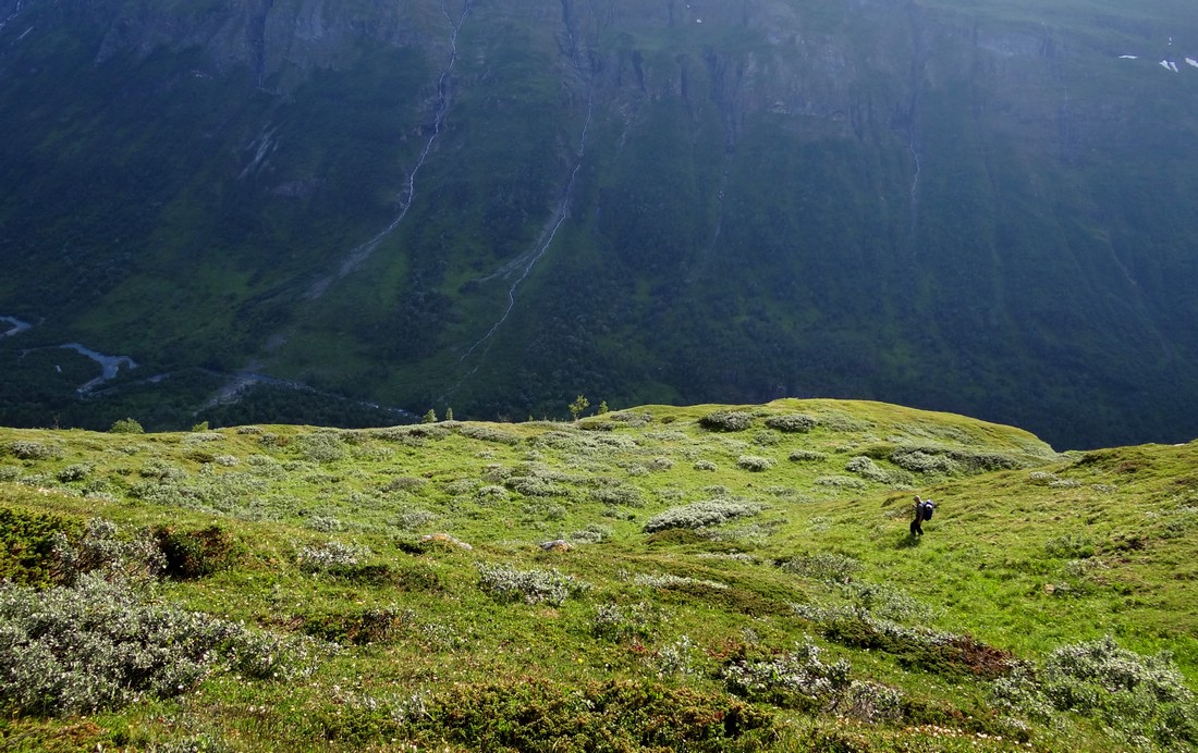 DSC02173RohkunPappaNedTverrdalen.JPG