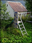 DSC02629TorskenMiniklatrevegg.JPG