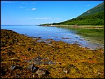 DSC02909KattebergetTangstrand.JPG