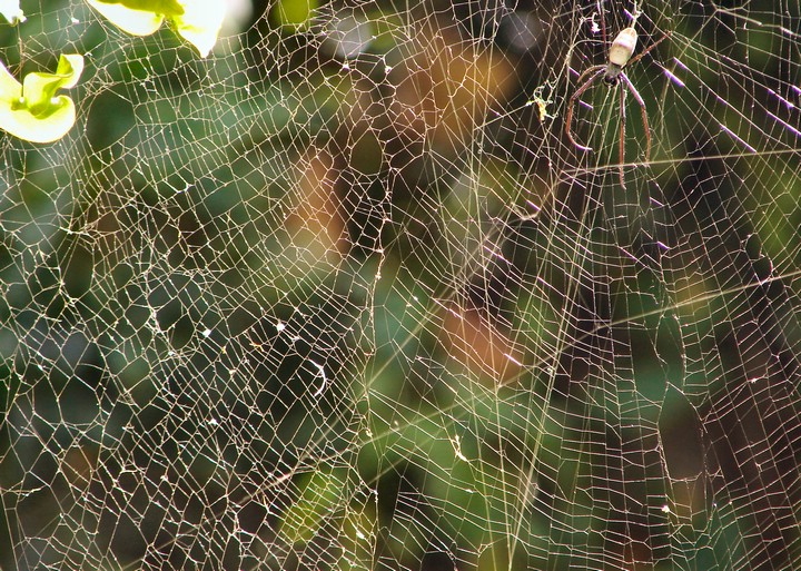 DSC08080BijiloFyllespinning.JPG
