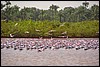 DSC07973BakauPopulaertUtested.JPG