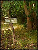 DSC08161AbukoUdiskutabelt.JPG