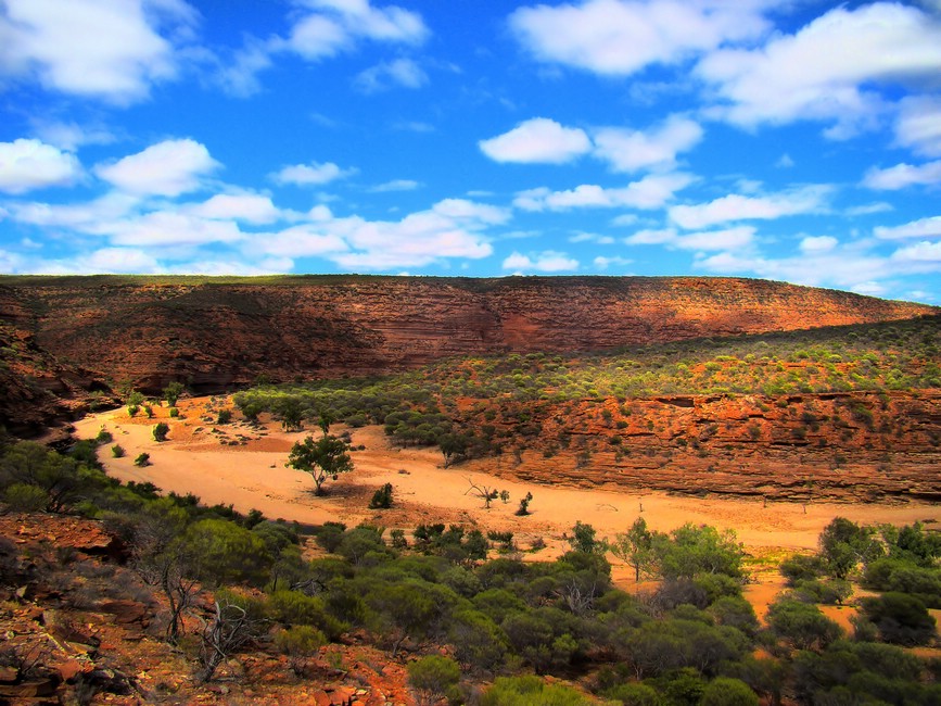 DSC03557KalbarriLoopFargerike.JPG