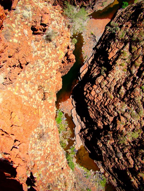 DSC04951KarijiniVeldigBrattIKnoxGorge.JPG