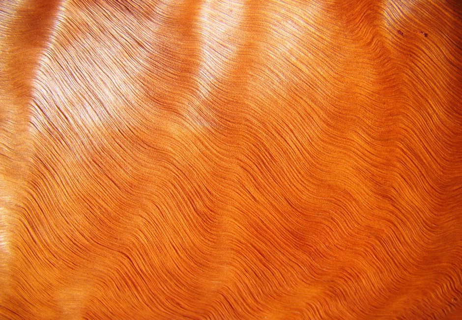 DSC05122JoffreIkkeHaar.JPG