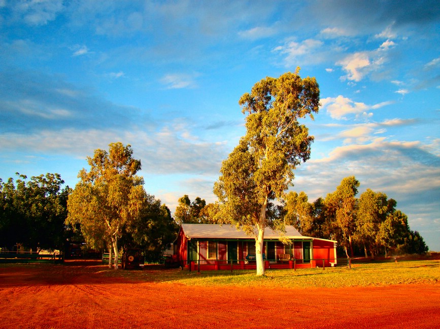 DSC05312PardooCattleStation.JPG