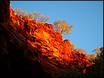 DSC05177JoffreLastGlow.JPG