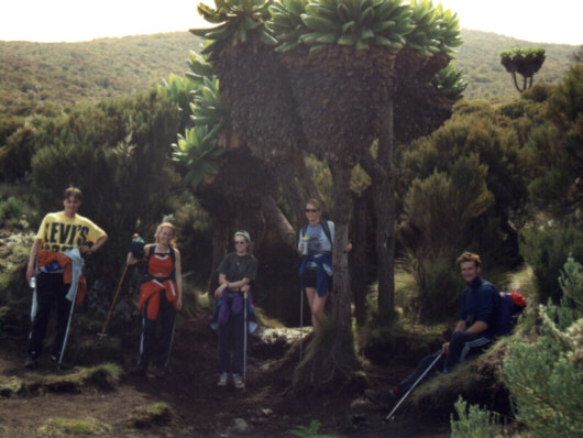 Kim, Karina, Heidi, Vibeke, Andreas og kjempeåkersvineblomane