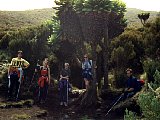 Kim, Karina, Heidi, Vibeke, Andreas og kjempeåkersvineblomane