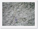 TAGFTUR_280505_059 * 2272 x 1704 * (1.37MB)