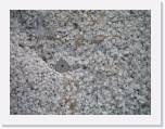 TAGFTUR_280505_069 * 2272 x 1704 * (1.61MB)