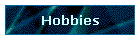 Hobbies